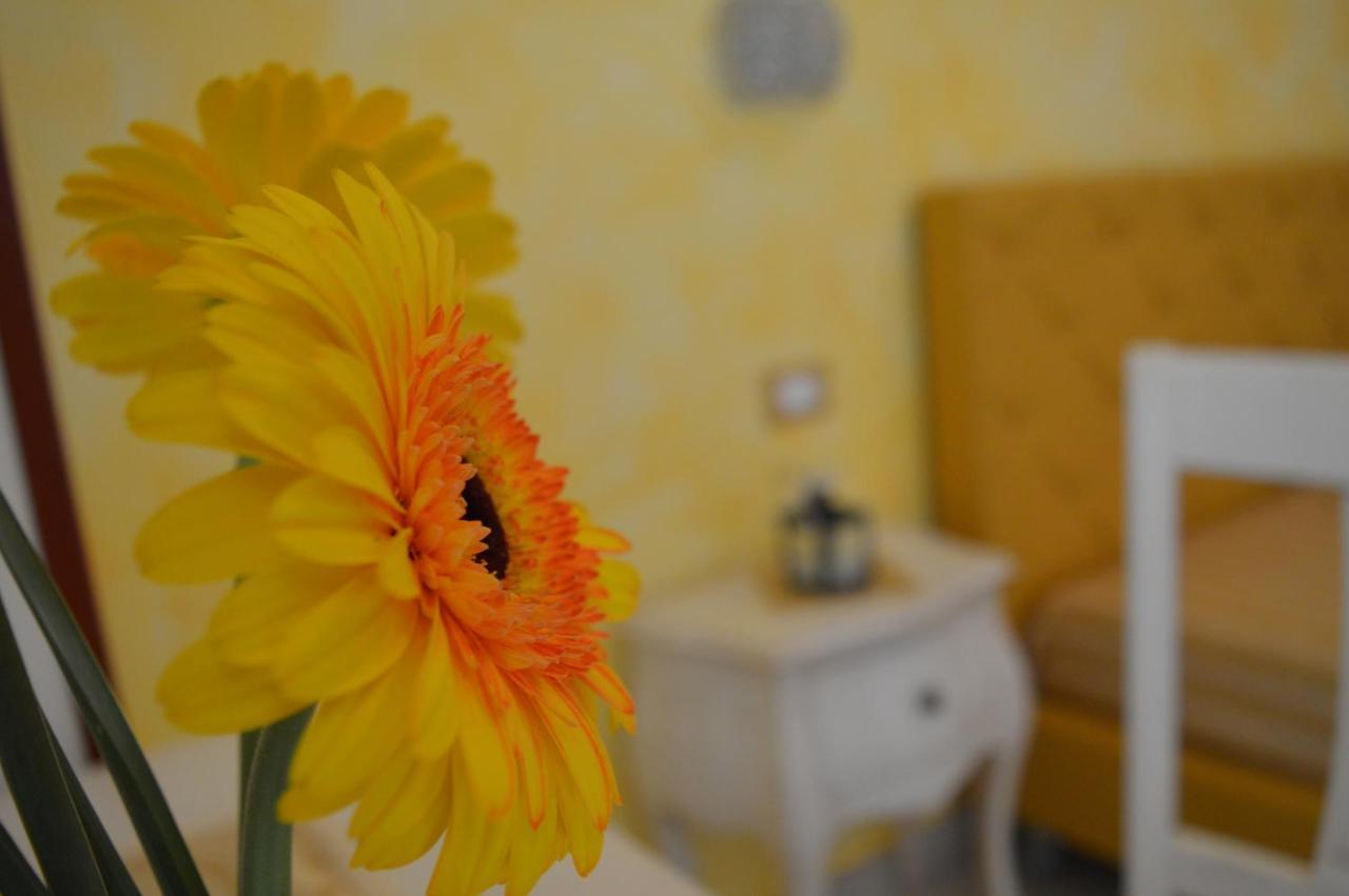 Tally B&B Salve Luaran gambar